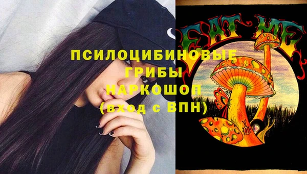 гидра Семёнов