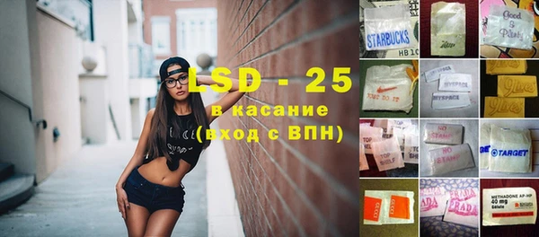 стафф Алзамай