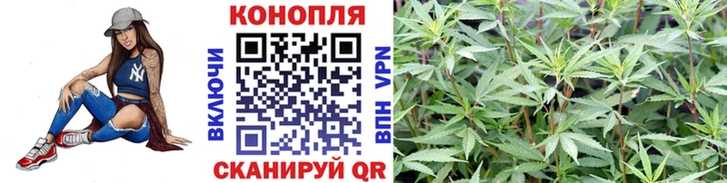 Конопля индика  где найти наркотики  Мещовск 